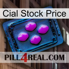 Cial Stock Price 04